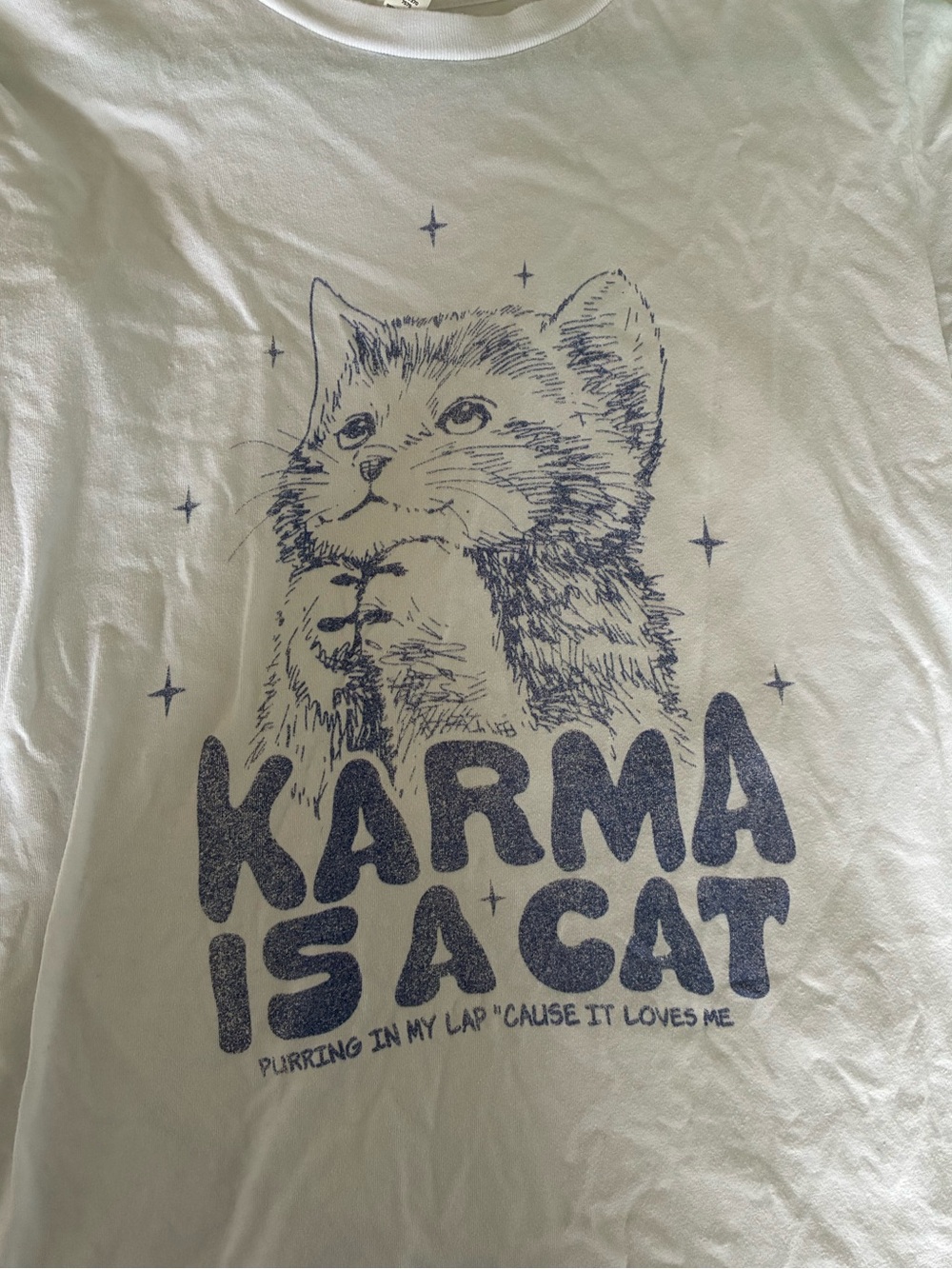 TAYLOR SWIFT Karma is a Cat Tee